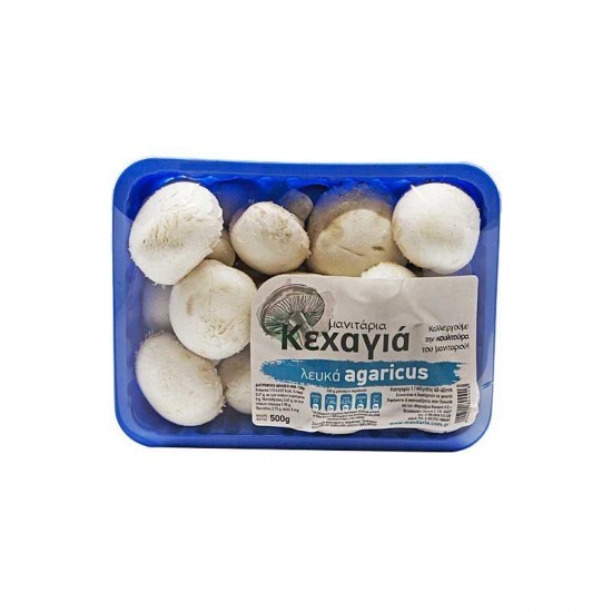 Μανιτάρια Πολωνίας 500gr