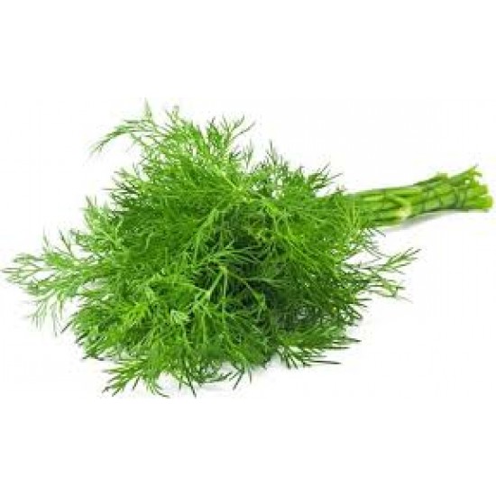 Άνιθος Μεγάρων  (Ματσάκι)