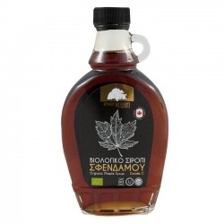 EVERGREEN 250ML BIO ΣΙΡΟΠΙ ΣΦΕΝΔΑΜΟΥ