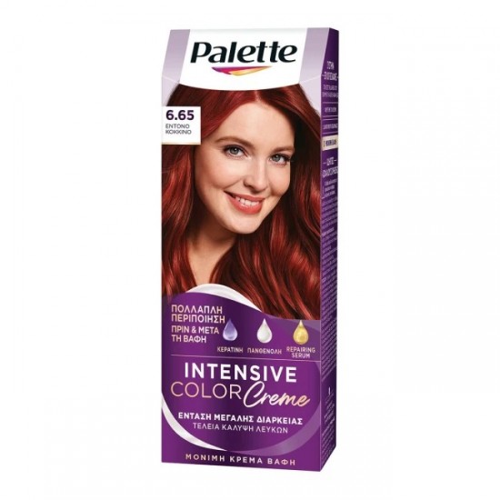 (-45%)PALETTE 50ML N.665 ΕΝΤΟΝΟ ΚΟΚΚΙΝΟ