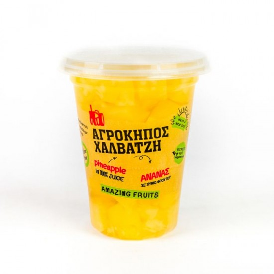 ΑΓΡΟΚΗΠΟΣ ΧΑΛΒΑΤΖΗ 400G TOP FRUIT ΦΡΟΥΤΟΣΑΛΑ ΑΝΑΝΑΣ/ΠΟΤΗΡΙ