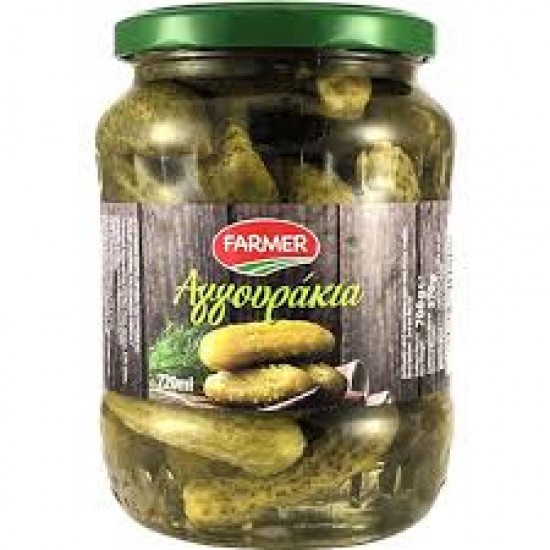 FARMER 360G ΑΓΓΟΥΡΑΚΙΑ ΤΟΥΡΣΙ / ΒΑΖΟ