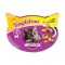 WHISKAS 60G TEMPTATION CHICKEN & CHEESE