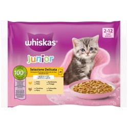 WHISKAS 85Gx4 KITTEN PURE DELIGHT ΠΟΥΛΕΡΙΚΑ ΣΕ ΖΕΛΕ