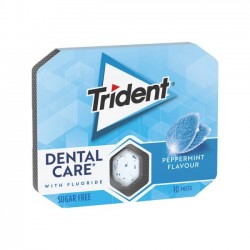 TRIDENT ORAL-B 17G ΤΣΙΧΛΟΚΑΡΑΜΕΛΑ / ΜΕΝΤΑ
